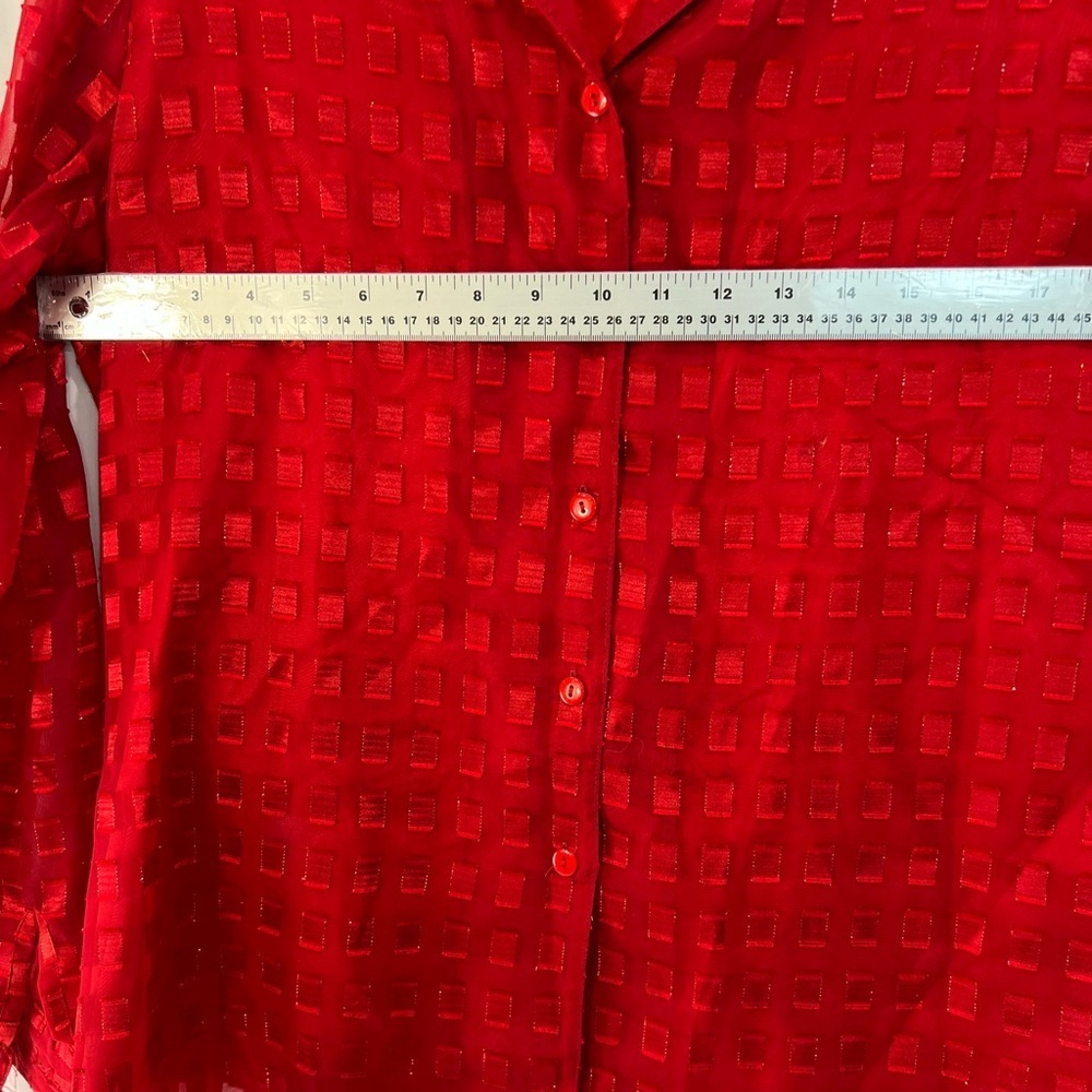 Alia Red Sheer Blouse - Picture 10 of 11